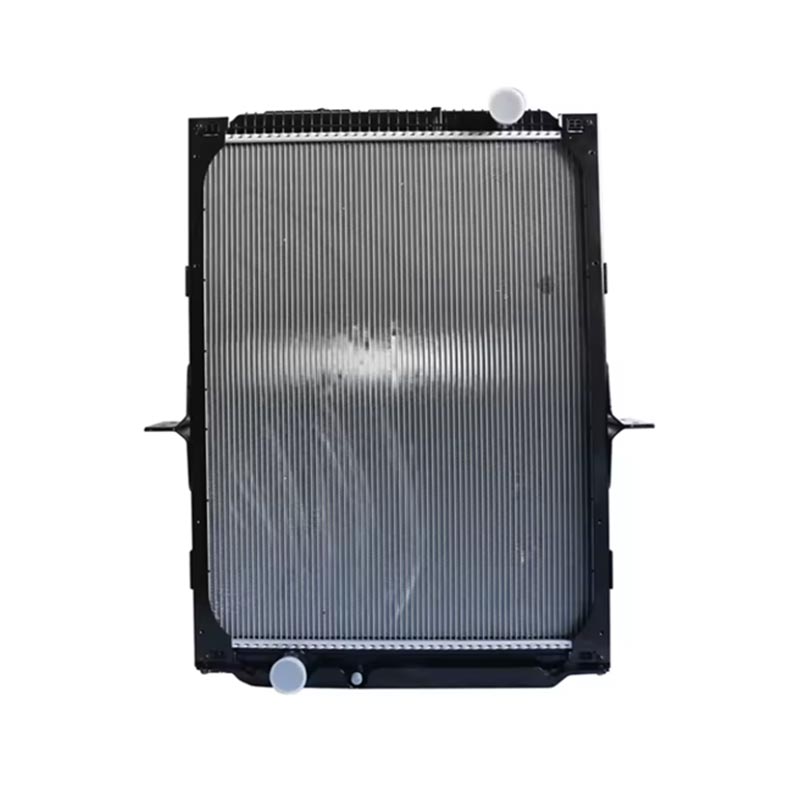Radiador accesorio del motor DZ91125328